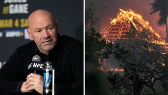 c92e812d-dana white