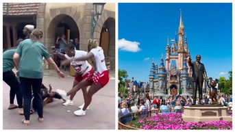 Disney fight