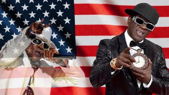89d073a2-flava flav