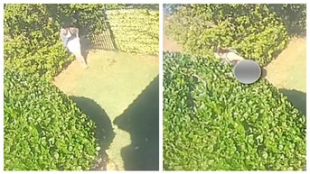 60451063-florida-2-1