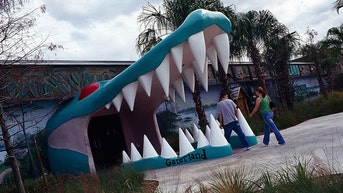 8c6d9519-gatorland-alligator