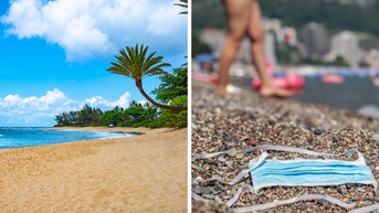 ef825b73-Hawaii COVID