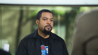72d8e82e-ice cube