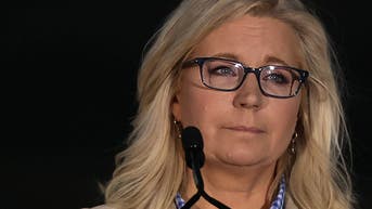 GOP Congressional Candidate Liz Cheney Holds Election Night Event
