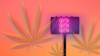 be7ebc3a-Billboard with neon girls lights and sunset sky in the city.