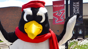 youngstown-state-penguin-helmets