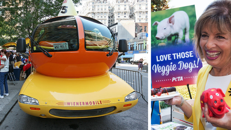 PETA Nutcases Want To Turn Wienermobile Vegan