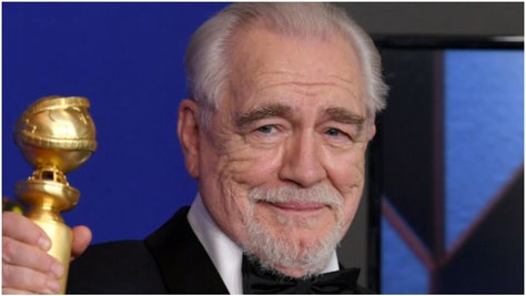 "Succession" star Brian Cox has no interesting in appeasing the woke mob. He said "woke culture is truly awful." (Credit: Getty Images)