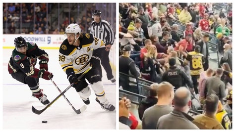 Wild Brawl Between Bruins-Coyotes Fans
