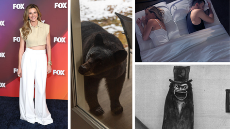 Erin Andrews Plays Matchmaker, Bear Steals Frozen Lasagna, The Babadook & Switching Sides Of The Bed