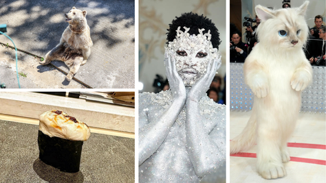 Dumb Outfits At The Met Gala, Cooking With Semen, Dumpster Diving Bears & Mexican Beers