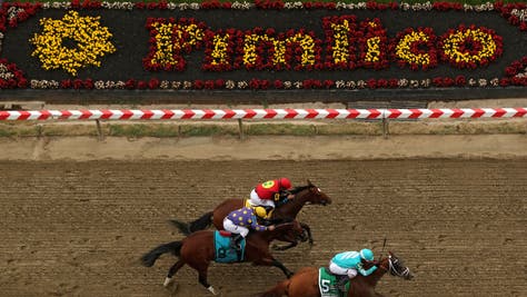 142nd Preakness Stakes