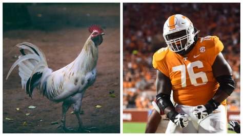 Don't Mess With My Gamecock! Tennessee Player Has Stuffed Animal Stolen From Him After Beating South Carolina