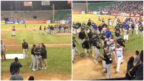 Venezuelan Winter League Baseball Brawl