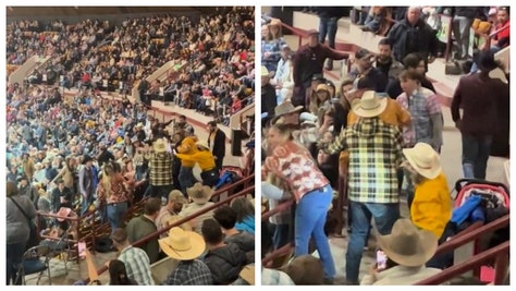 Fight Rodeo