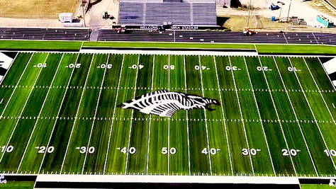 grandview-high-school-football-texas-zebra-mascot-field-end-zone-helmets