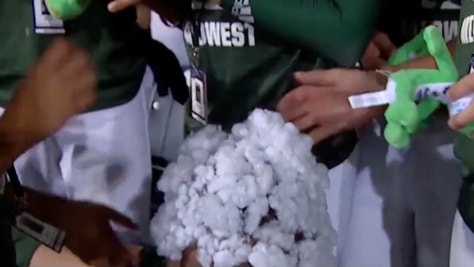 LLWS Players Put Toy Stuffing On Black Player's Head, Woke Go Crazy
