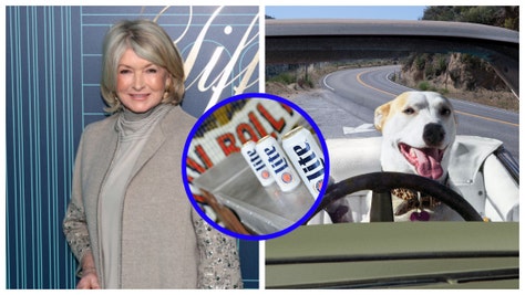 Martha Stewart Poses In Bikini, Conor McGregor Posts Thirst Traps, Dog Almost Gets A DUI, Shark Attacks & Beer Ads