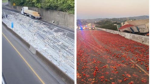 Alfredo and tomato spills