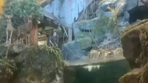 Bass Pro fish tank jumper