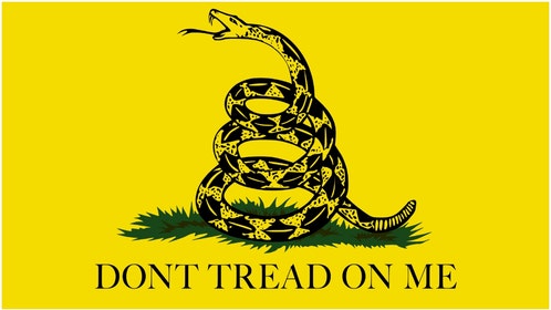 A young boy at The Vanguard School was allegedly told by school officials he couldn't have a Gadsden flag patch because it's racist. (Credit: Getty Images)