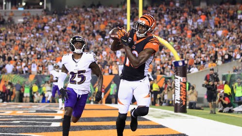 ae69965a-Baltimore Ravens v Cincinnati Bengals