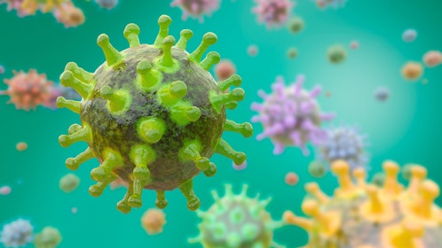 3D rendering of viruses