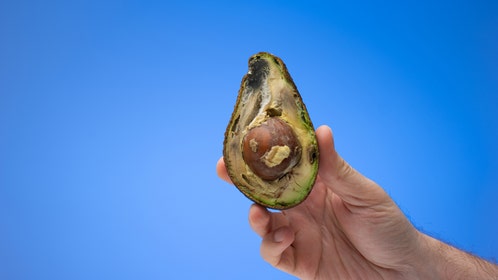 Crappy Avocado