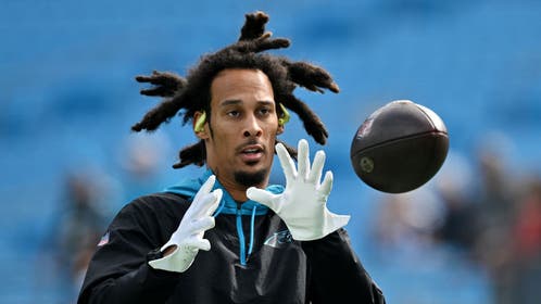 Cardinals Panthers Robbie Anderson