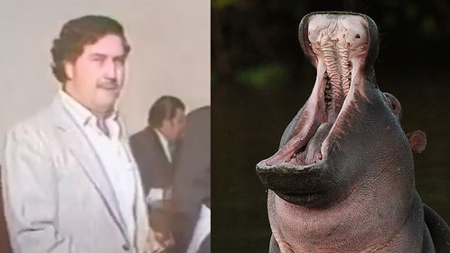 7f40d89d-An African Safari