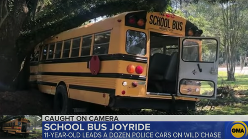 f30f376f-School bus