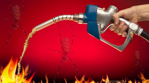 7da8cb8b-Feeding the Flame; Putting Gasoline on Fire