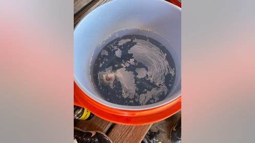Substance allegedly in water