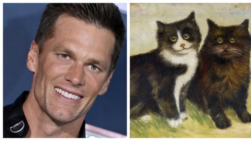 5cc8fd3a-Tom Brady Kittens