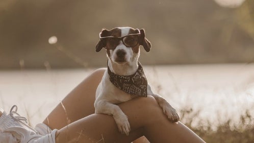 Topless-Dog-Walking-Model-Caroline-Werner