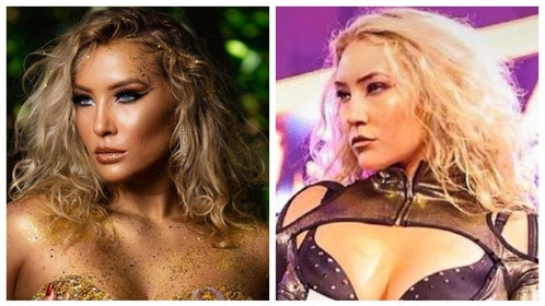 WWE's Nikkita Lyons Shared A Look At Her Impressive Flexibility In A Bikini