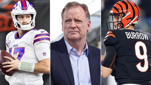 d3c5f7cc-bills-bengals-goodell