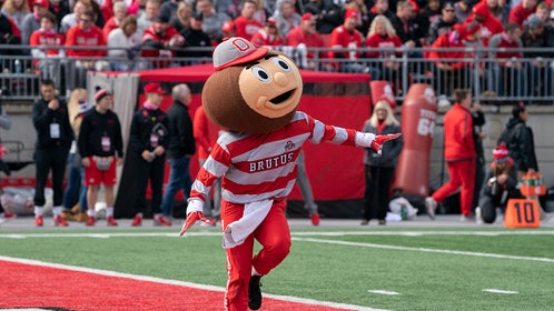 11801098-brutus