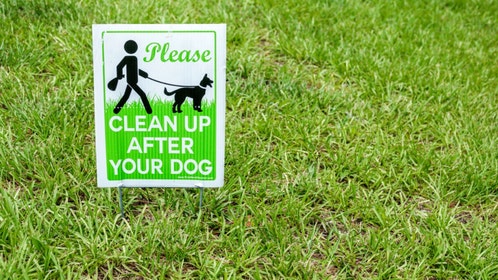 Dog Poo Sign