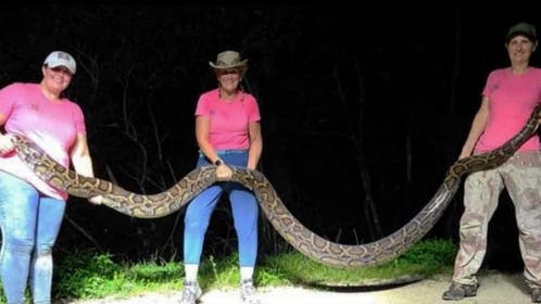 Jayna Parsley Corns and Donna Kalil on Tomi Lahren is Fearless