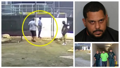 Florida baseball dad arrested after punching umpire.