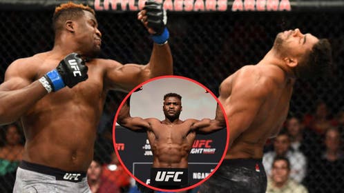 francis ngannou