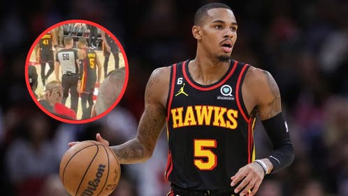 hawks