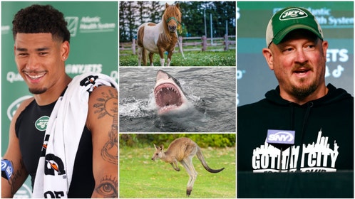 f5c714e7-lazard-hackett-animal-sounds