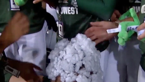 LLWS Players Put Toy Stuffing On Black Player's Head, Woke Go Crazy