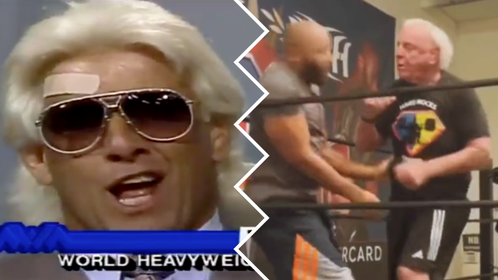 6493d377-Ric Flair