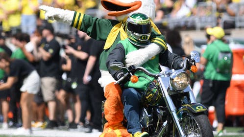 The Oregon Ducks