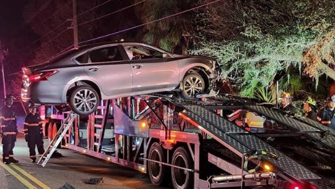 Florida Man Crashes Car on Car Carrier