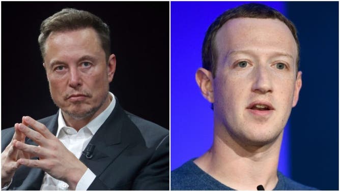 Several MMA Fighters Offer To Train Elon Musk For Cage Match Because 'No One Likes Zuckerberg'