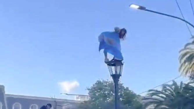 An Argentina fan celebrates the World Cup victory with a dance on top of a street light.